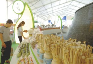 规模大、档次高、印象深 打造邢台农产品新形象的“正餐服务”之道