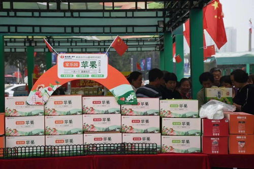 邢台农特产品热销，正餐服务助推地方经济